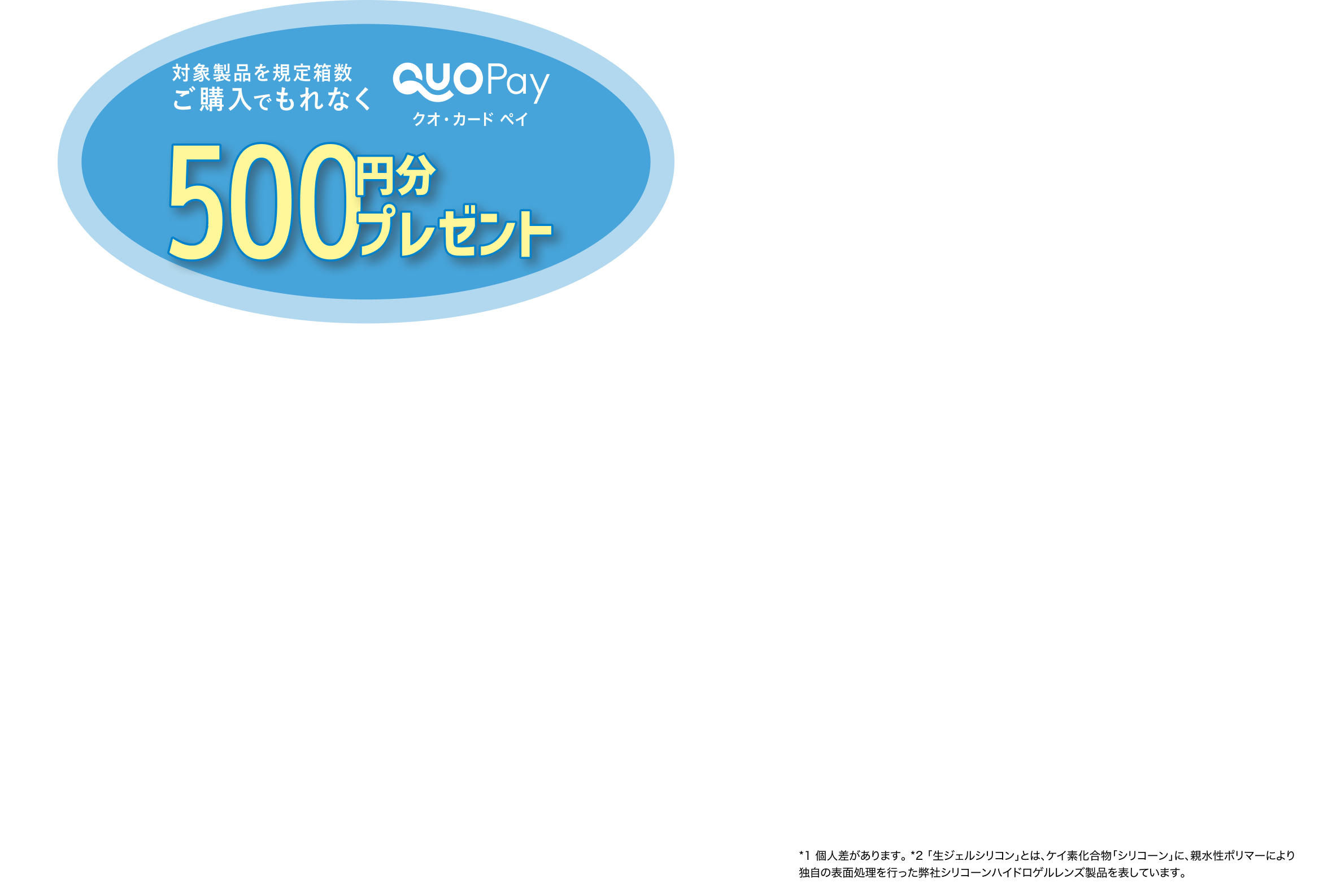 対象製品を規定箱数以上購入でもれなくクオ・カード・ペイ500円分プレゼント！